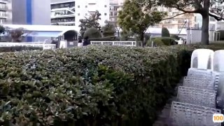 HAWA-302 僕を裏切って元カレと浮気した妻を絶対に許さない、お仕置きに君の好きな他人棒でマ〇コが壊れるまで